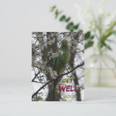 Halsbandparkiet Aangepaste Beterschap Ansichtkaart Briefkaart (Staand voorkant)