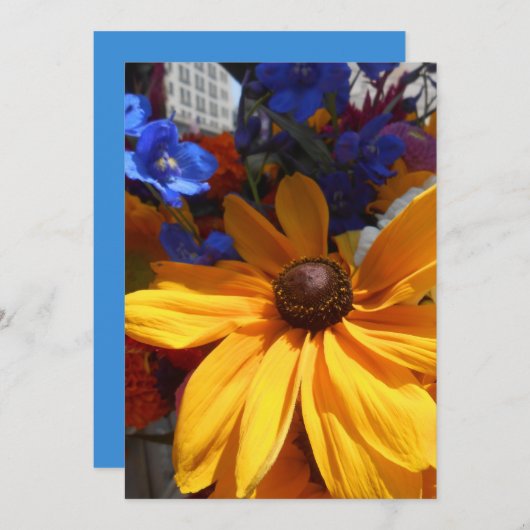 Halse (Voorkant / Achterkant)