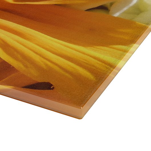 Halse Snijplank (Hoek)