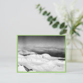 Halter Collectie Briefkaart (Staand voorkant)