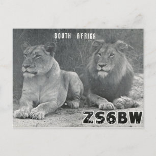 Ham Radio QSL Card South Africa Lions Briefkaart
