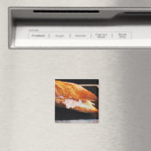 Ham Sandwich Magneet (Insitu (Vaatwasser))