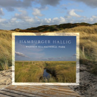 Hamburger Hallig, Wadden Zee, Duitsland Briefkaart