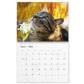 HAMbWG - Calendrier des chats brillants (Mar 2026)