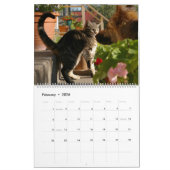 HAMbWG - Calendrier des chats brillants (Feb 2026)