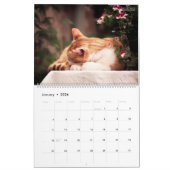HAMbWG - Calendrier des chats brillants (Jan 2026)