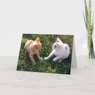 HAMbWG - Carte de voeux - 2 chats