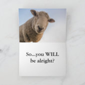 HAMbWG - Carte de voeux - Moutons (Intérieur)