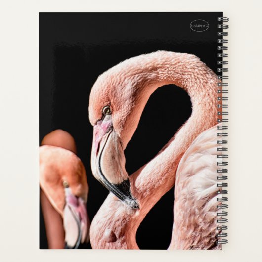 HAMbWG - Flamants roses roses (Dos)