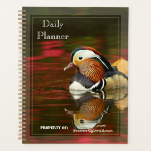 HAMbWG - Foto dagelijkse planner - Kleine smient
