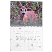 HAMbWG Nature et vie sauvage - Calendrier (Feb 2026)