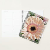 HAMbWG - Photo Daily Planner - Gerber Daisy (Devant avec enveloppe)