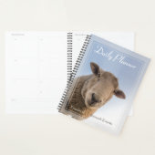 HAMbWG - Photo Daily Planner - Moutons (Devant avec enveloppe)
