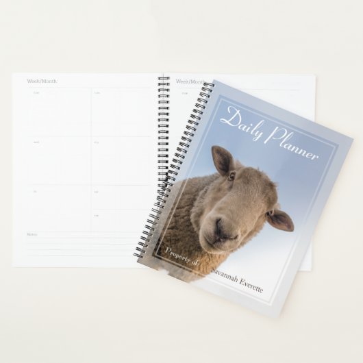 HAMbWG - Photo Daily Planner - Moutons (Devant avec enveloppe)