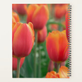 HAMbWG - Planner Fleurs de tulipes (Dos)
