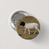 HAMbWG - Square Button - Black Head Sheep (Voorkant /achterkant)