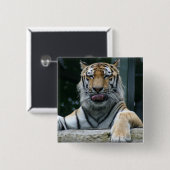 HAMbWG - Square Button - Tiger (Voorkant /achterkant)
