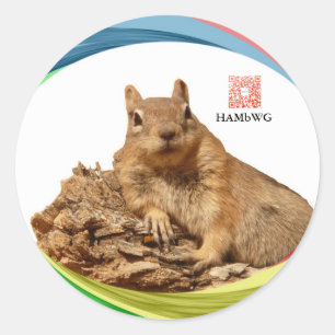 HAMbWG-Sticker - Eekhoorn met Logo kleuren Ronde Sticker