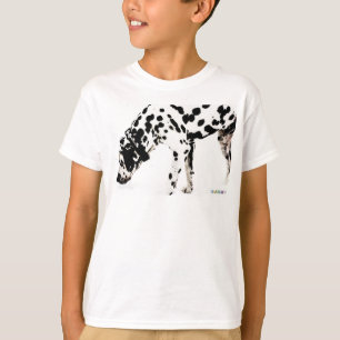 HAMbWG Sweatshirt - Dalmation