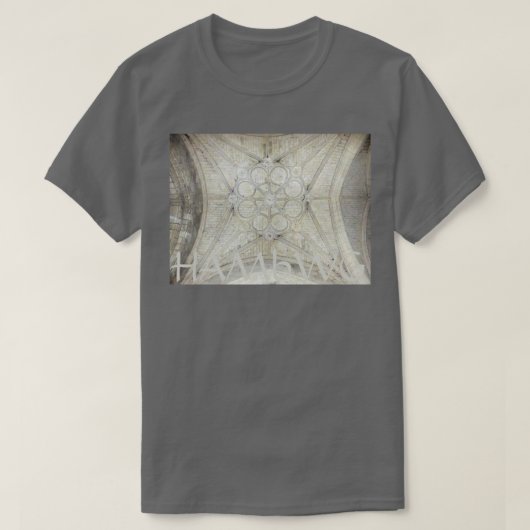HAMbWG - T-Shirt - Wh Ceiling 1920 010417 1243P (Design devant)