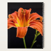 HAMbWG - Tiger Lily Planner (Achterkant)