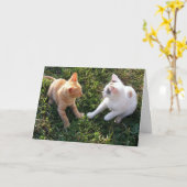 HAMbWG - Wenskaart - 2 katten Kaart (Gele Bloem)