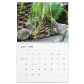 HAMbyWG 2020 Kat-Katten Kalender (Mar 2026)