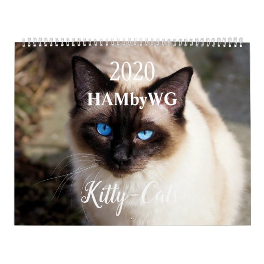 HAMbyWG 2020 Kat-Katten Kalender (Hoes)