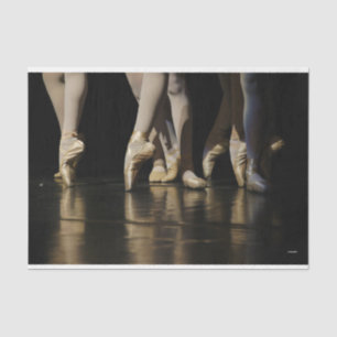 HAMbyWG - Ballerina-benen - Tissuepapier