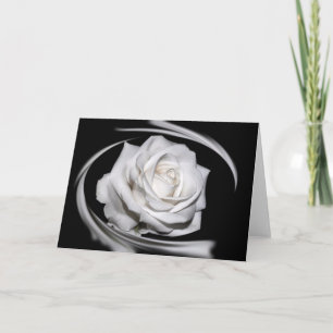 HAMbyWG - Carte de voeux - Belle rose blanche