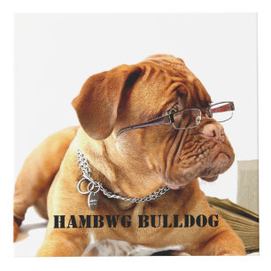 HAMbyWG Faites votre propre cube photo personnalis