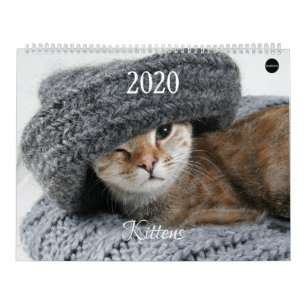 HAMbyWG Kitten Kalender