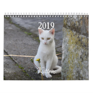 HAMbyWG Kitten Kalender