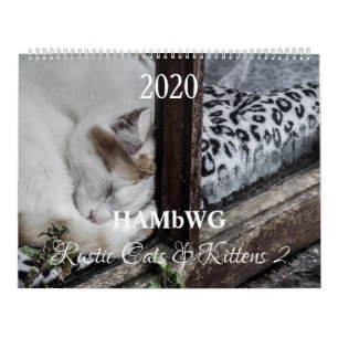 HAMbyWG - Landelijke Katten & Kitten 2 Kalender