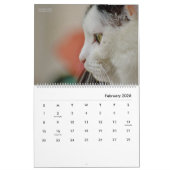 HAMbyWG Modern Cats Calendar Kalender (Feb 2026)