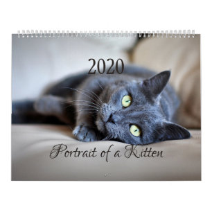 HAMbyWG- Portret van een Kitten Kalender