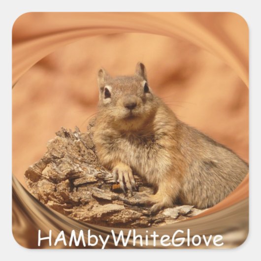 HAMbyWG - Stickers - Écureuil dans le logo de l'éc (Devant)