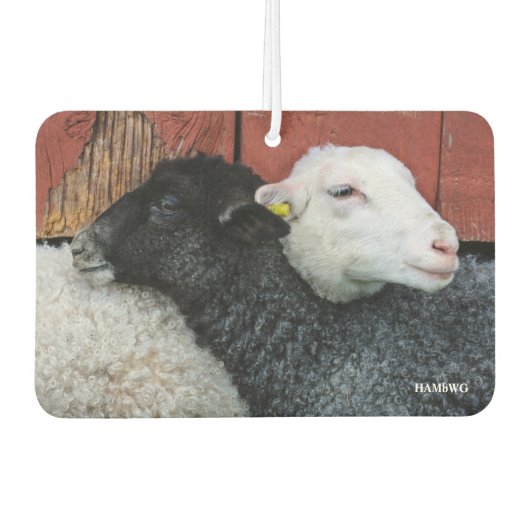 HAMbyWG - Zwarte en witte schapen Luchtverfrisser (Voorkant)