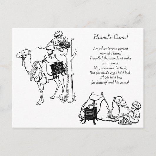 Hamel's Camel Limerick Briefkaart (Voorkant)