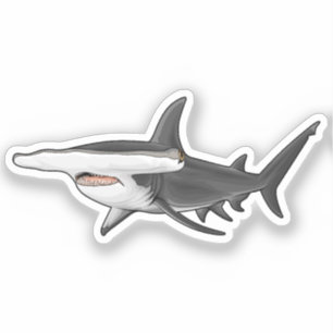 Hamerhaai Sticker