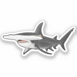 Hamerhaai Sticker