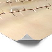 Hamerkop in Thorns - Poster d'oiseaux africains (Coin)