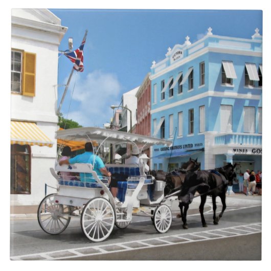 Hamilton Bermuda Koetsrit Tegeltje (Voorkant)