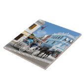 Hamilton Bermuda Koetsrit Tegeltje (Zijkant)
