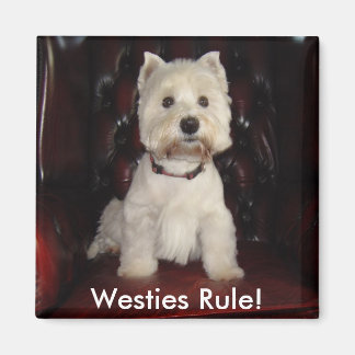 Hamish McTavish Westies Regel Koelkast Magnet Magneet