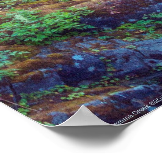 Hamma Hamma Creek Poster (Hoek)