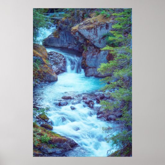 Hamma Hamma Creek Poster (Voorkant)