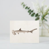 Hammerhead Shark Illustration Retro Sharks Briefkaart (Staand voorkant)