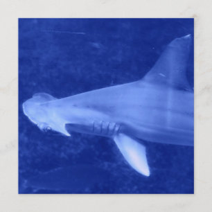Hammerhead Shark Invitations Kaart