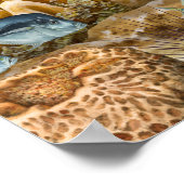 Hammerhead Shark Over koraalrif Poster (Hoek)